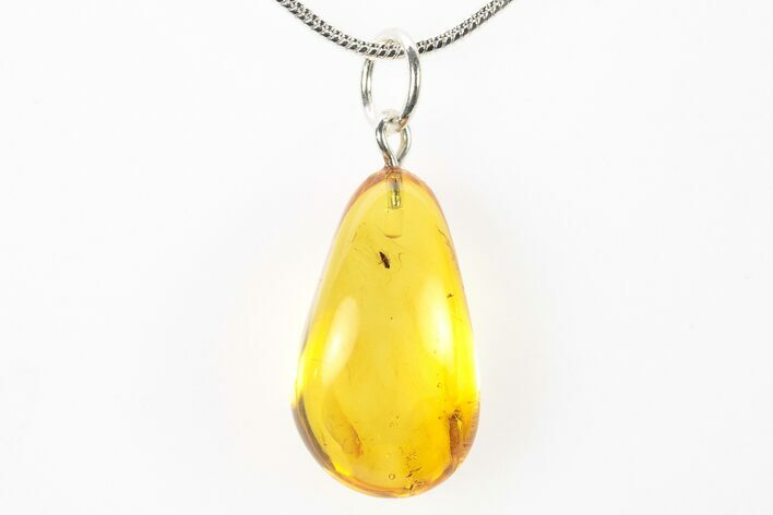 Polished Baltic Amber Pendant (Necklace) - Contains Fly! #275877